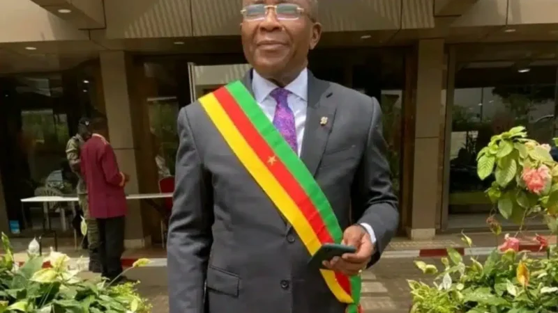Cameroon political crisis: opposition leader urges constitutional council to declare power vacancy