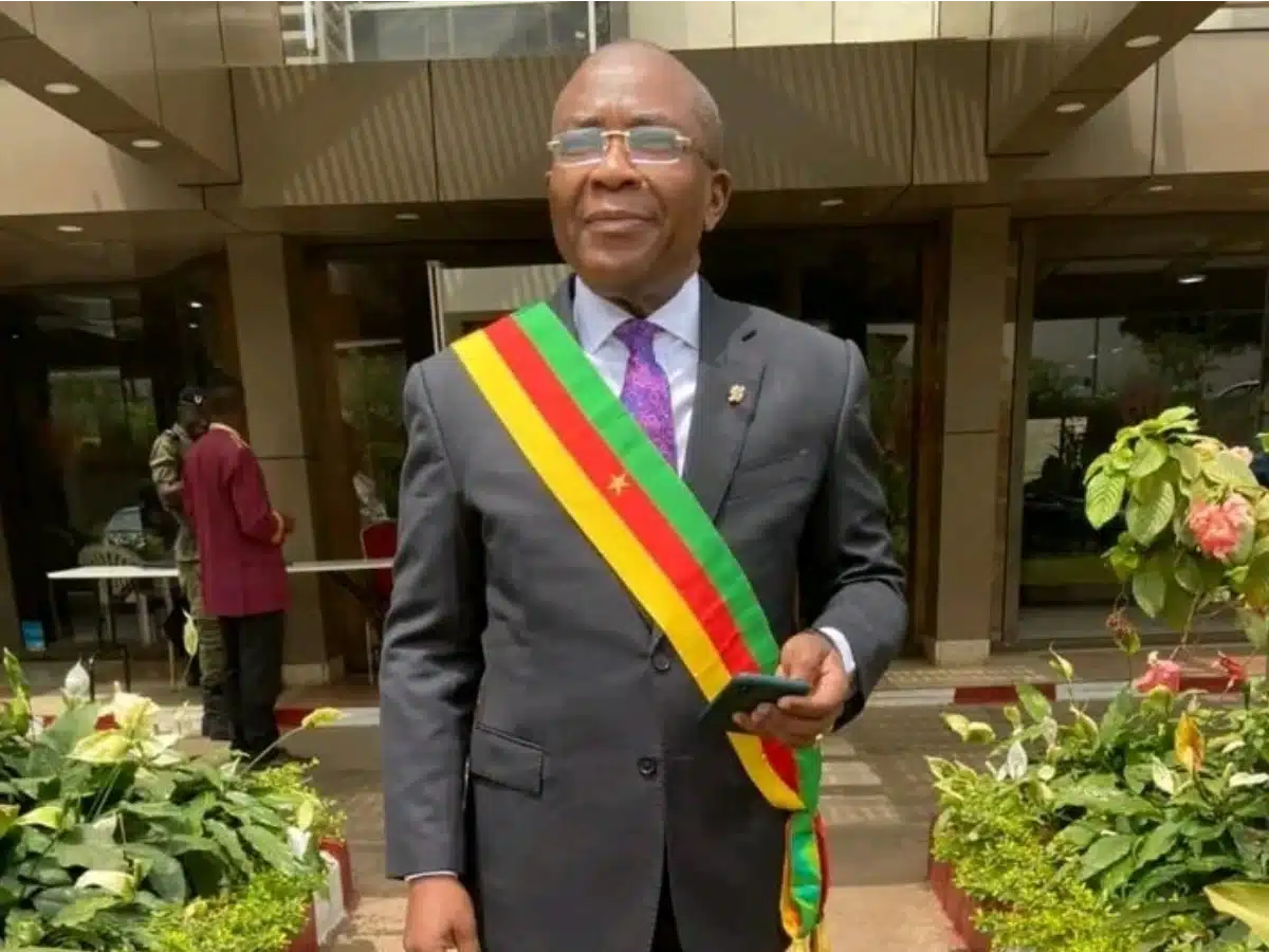 Cameroon political crisis: opposition leader urges constitutional council to declare power vacancy