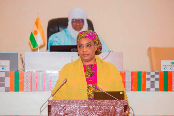 Niger’s public administration reform: digital transformation and efficiency gains