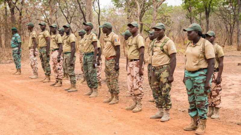 Chad enforces ban on military-style uniforms for forestry agents