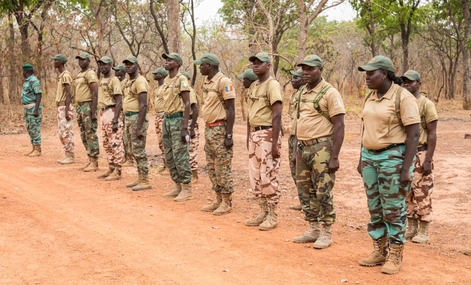 Chad enforces ban on military-style uniforms for forestry agents