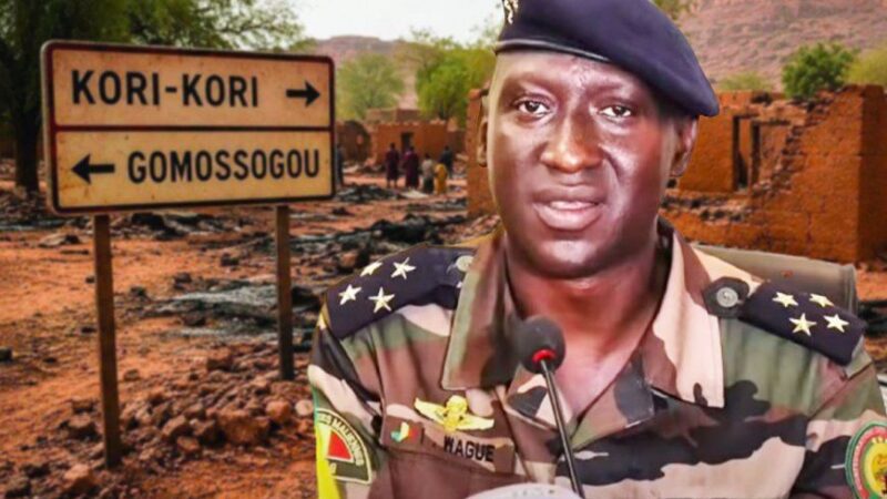 Mali crisis: government delegation visits Bandiagara after deadly attack