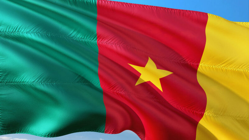 Cameroon’s cautious stance: why it lags in africa’s visa-free movement
