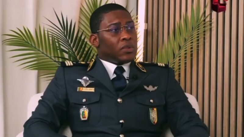 Cameroon political turmoil: effoudou’s explosive allegations rock government