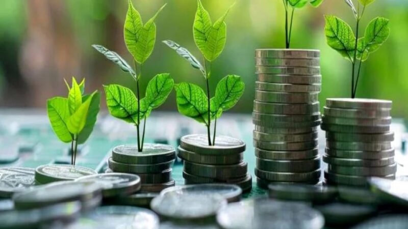 Morocco unveils green finance roadmap to slash carbon emissions