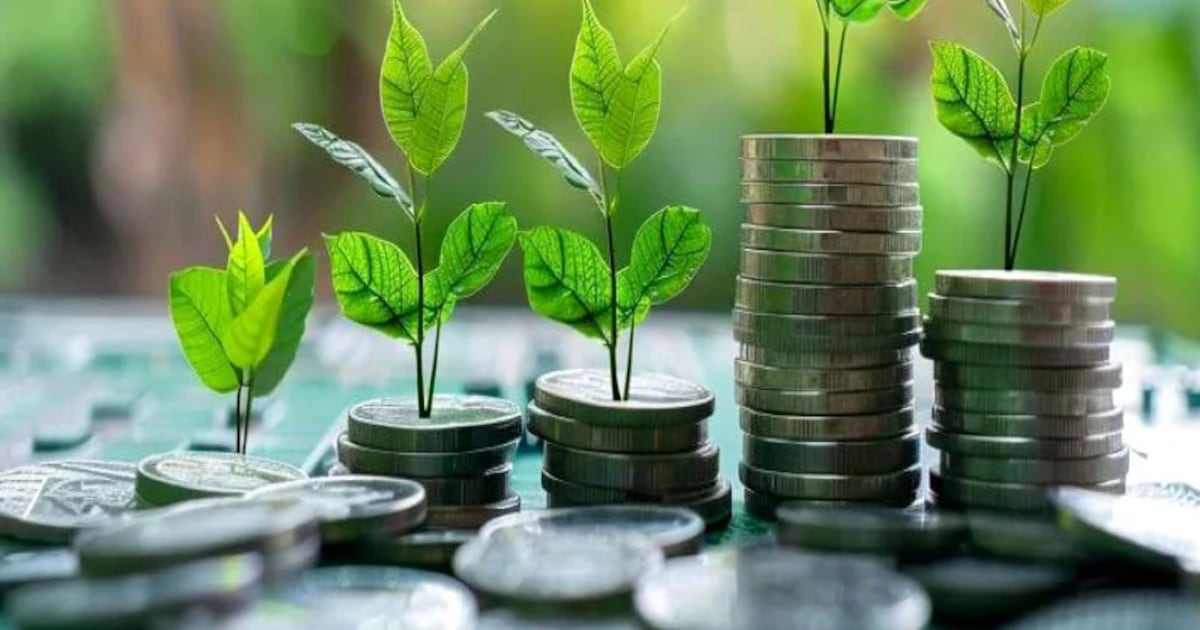 Morocco unveils green finance roadmap to slash carbon emissions