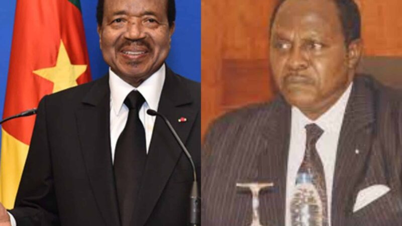 Shanda Tonme on the unprecedented challenges facing Cameroon’s leadership