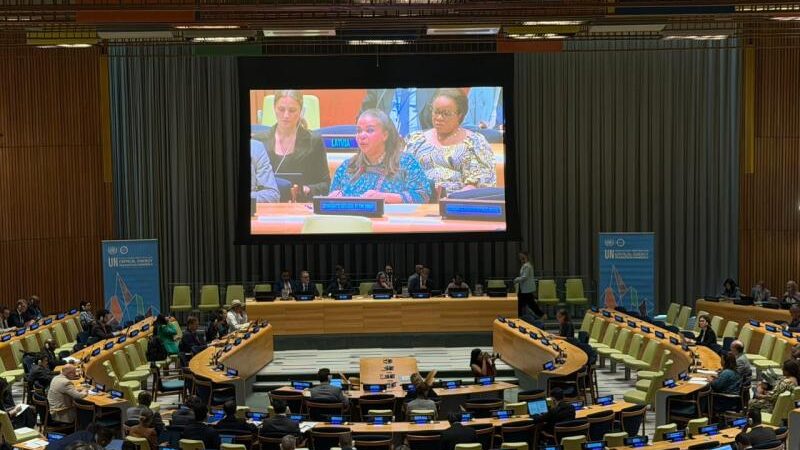 Critical minerals at un: DRC condemns Rwanda’s army inaction and calls for governance for peace