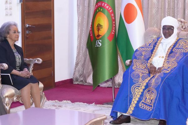 Niger unowas consultations focus on regional sovereignty and un reform