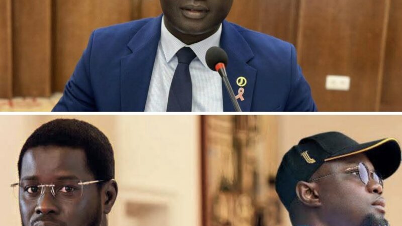 Senegalese minister slams sonko’s victimhood narrative and backs diomaye faye