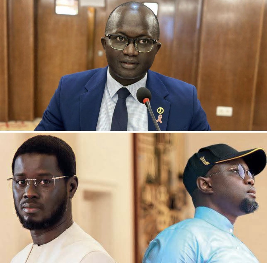 Senegalese minister slams sonko’s victimhood narrative and backs diomaye faye
