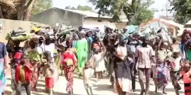 Mayo-tsanaga crisis: boko haram’s devastation and state neglect
