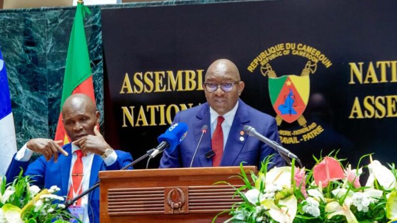 DRC highlights ecological impact of Rwandan aggression at APF Yaoundé summit