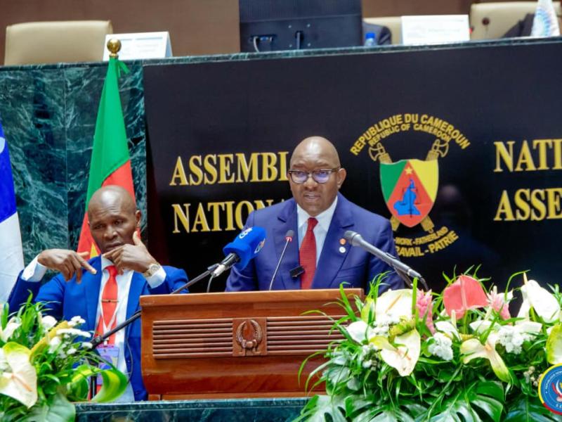 DRC highlights ecological impact of Rwandan aggression at APF Yaoundé summit