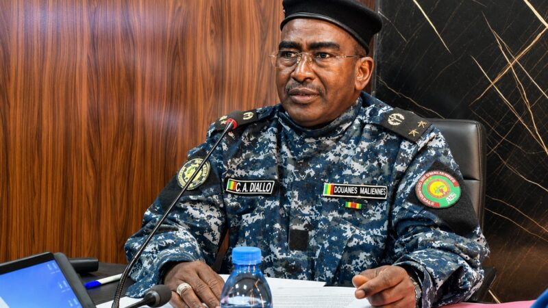 Critical analysis: how Fousseyni Sissoko’s writing exposes Mali’s customs power struggles