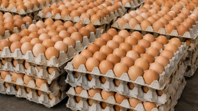 Burkina Faso’s egg price cap: a flawed policy harming local farmers