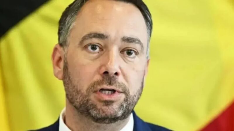 Niger: belgian foreign minister pushes for Sahel dialogue revival