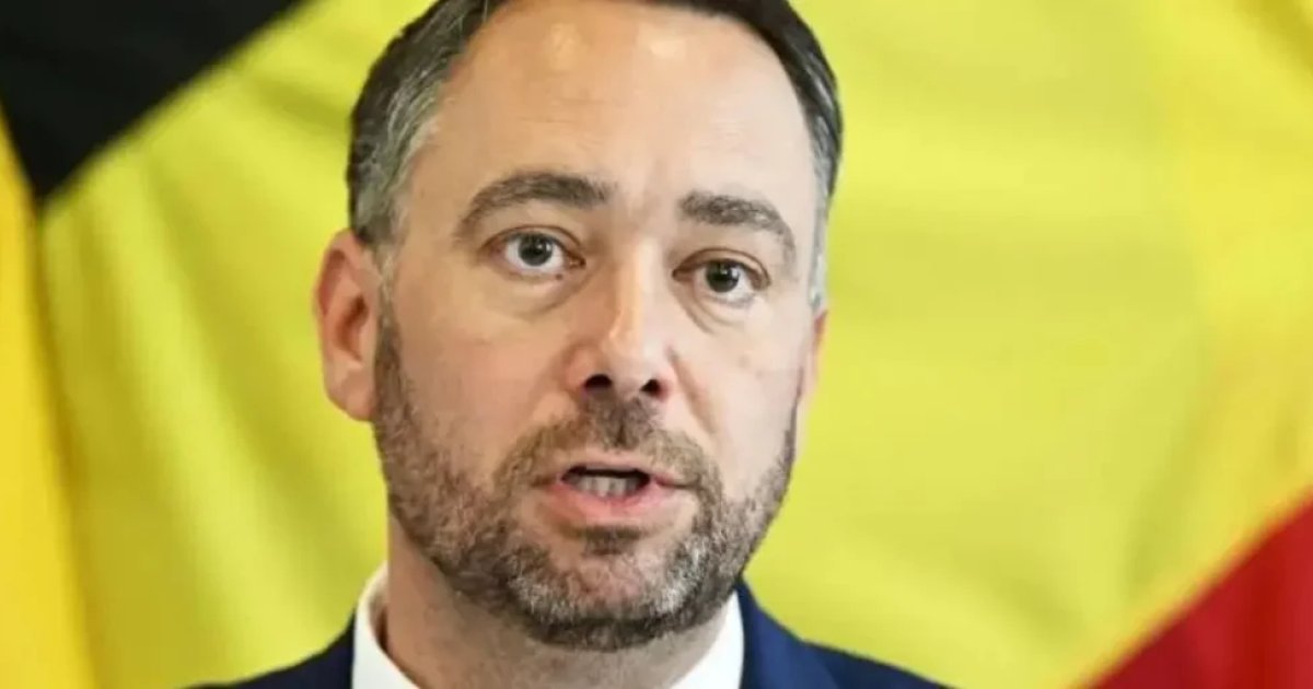 Niger: belgian foreign minister pushes for Sahel dialogue revival