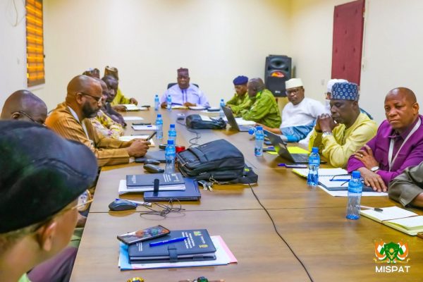 Niger mid-term review highlights public sector reforms and regional influence