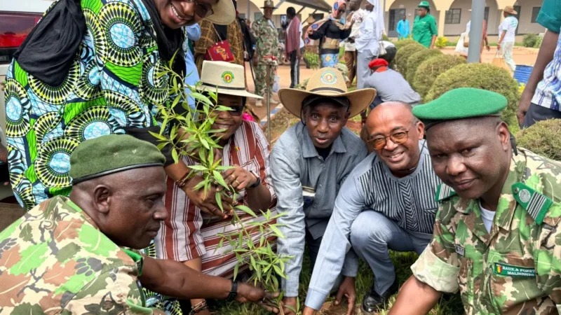 UnESCO Mali joins 32nd national reforestation campaign launch