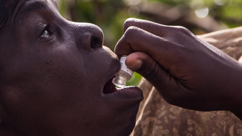 Cholera outbreak in Chad claims 13 lives