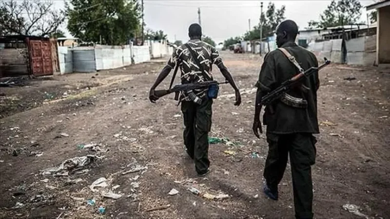 Boko haram raids leave eight dead in far north Cameroon