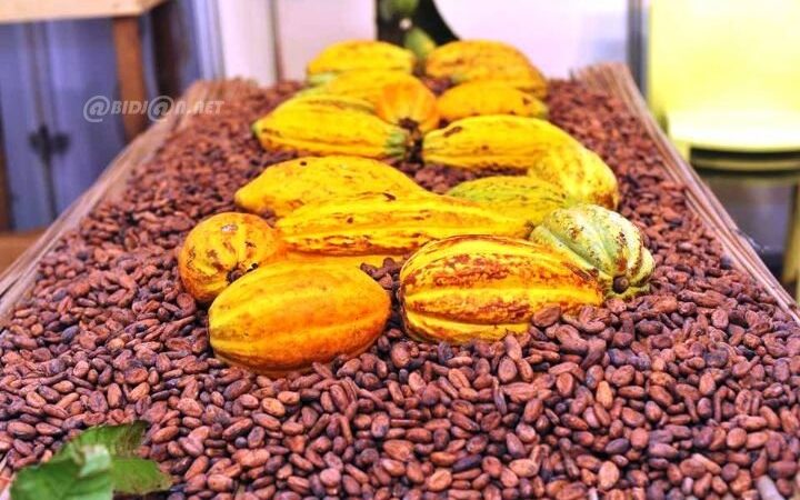 Côte d’Ivoire sets farmgate prices for 2026-2027 coffee-cocoa season at JNCC