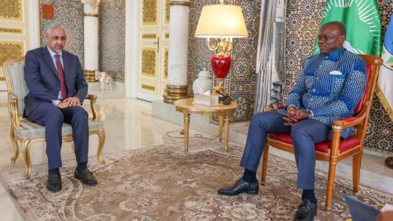 Gabon and afdb forge new alliance to boost key development projects