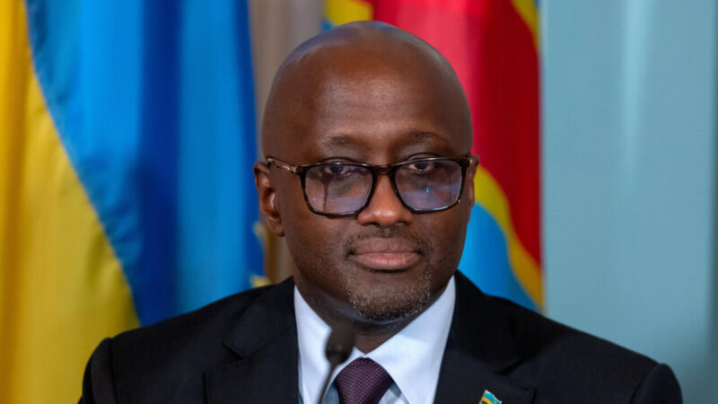 Drc protocol outlines surrender terms for fdlr rebels