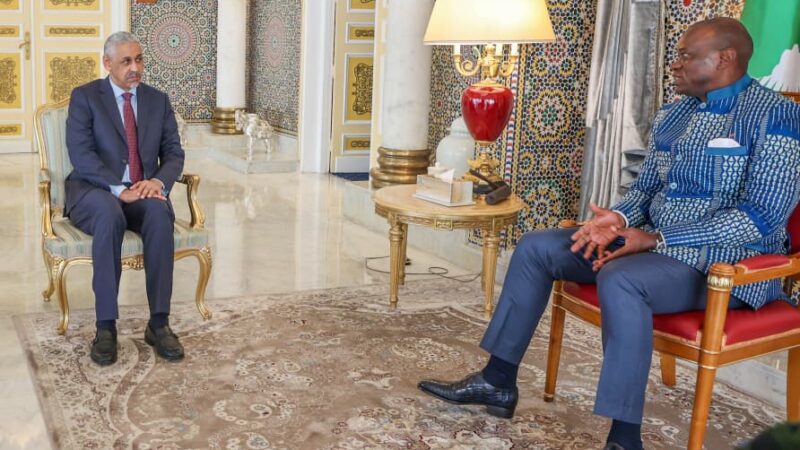 Gabon’s president meets BAD chief to drive economic growth