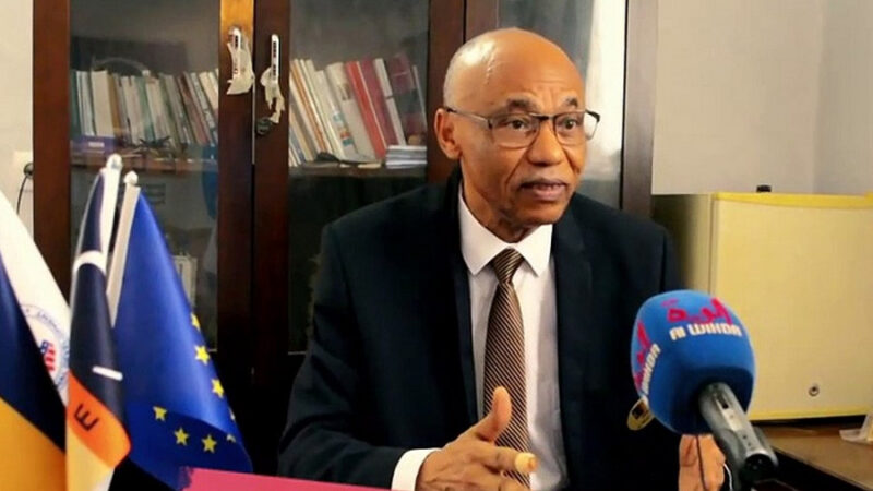 Tchad opposition faces challenges despite presidential pardon