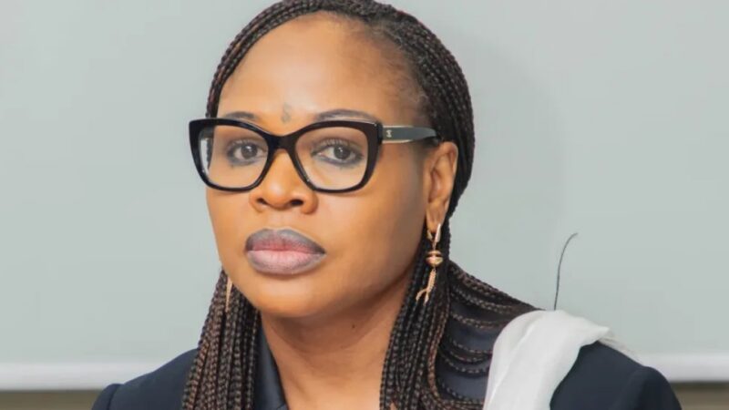 Benin minister meets smes in alibori and borgou to boost local economy