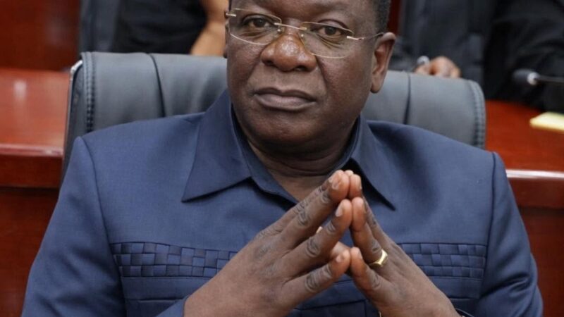 Chad presidential pardon: RNDT-Le Réveil welcomes political thaw