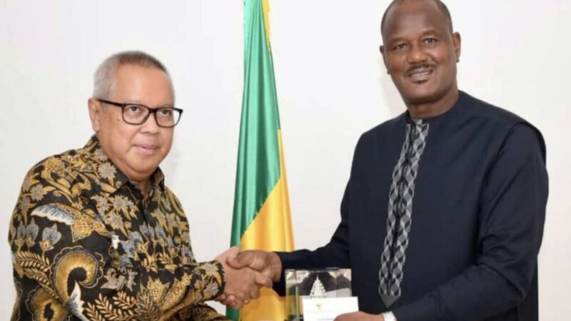 Senegal-Indonesia palm oil deal: 60,000 hectares to end costly imports