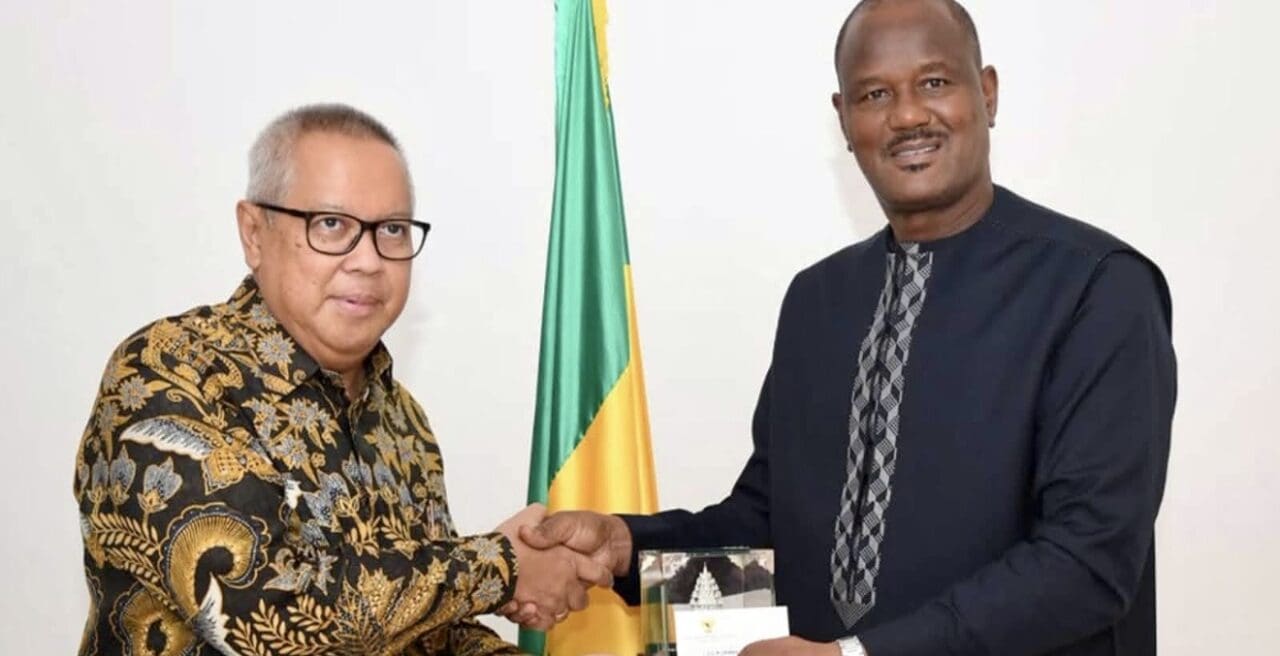 Senegal-Indonesia palm oil deal: 60,000 hectares to end costly imports